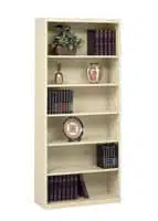 Tennsco book case